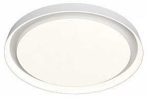 Накладной светильник Denkirs Cany белый арт. DK6515-WH