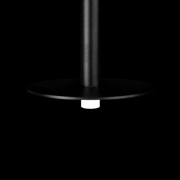 Подвесной светильник Loft it Reed черный арт. 10358/830 Disk
