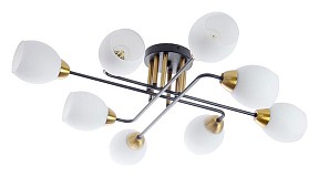 Потолочная люстра Arte Lamp Andrea черный арт. A8141PL-8BK