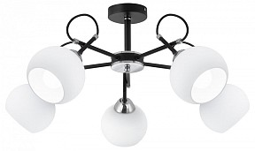 Люстра на штанге Citilux Стивен черный арт. CL141251