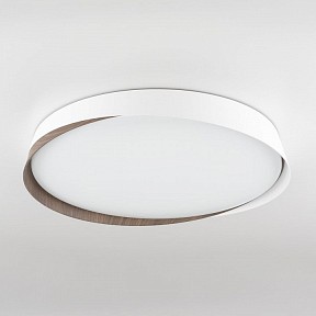 Накладной светильник Citilux BONNY белый арт. CL754450G