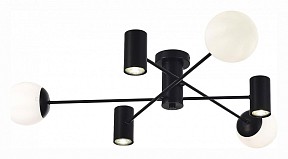 Потолочная люстра EVOLUCE Raito черный арт. SLE1105-402-06