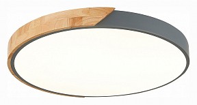 Накладной светильник EVOLUCE Festa разноцветный арт. SLE200972-01
