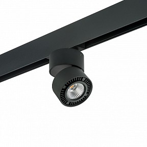 Светильник на штанге Lightstar Forte Muro черный арт. PRO213817