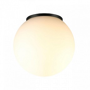Накладной светильник Odeon Light NATURE черный арт. 7124/1C