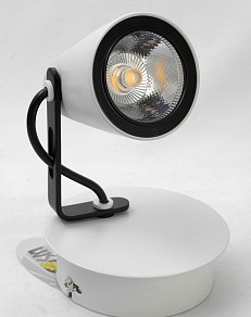 Спот Lussole Loft белый арт. LSN-4101-01