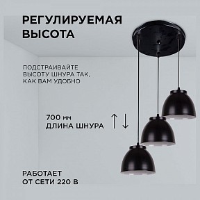 Подвесной светильник Apeyron Electrics  черный арт. 16-65