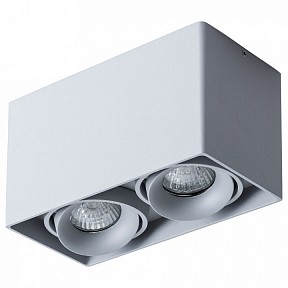 Накладной светильник Arte Lamp Pictor серый арт. A5654PL-2GY