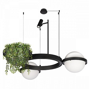 Подвесной светильник Loft it Jardin черный арт. 10121/2