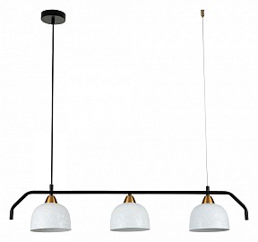 Подвесной светильник Indigo Attimo черный арт. 10005/3PL Black