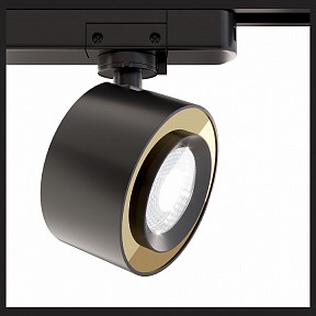 Светильник на штанге Maytoni Track lamps черный арт. TR023-1-12B4K