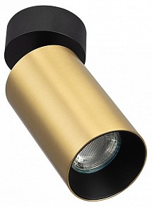 Накладной светильник Citilux AXEL латунь арт. CL512212