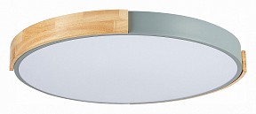Накладной светильник EVOLUCE Delia дерево арт. SLE201372-01