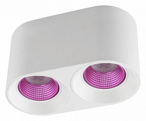 Накладной светильник Denkirs DK3020WPI  арт. DK3096-WH+PI