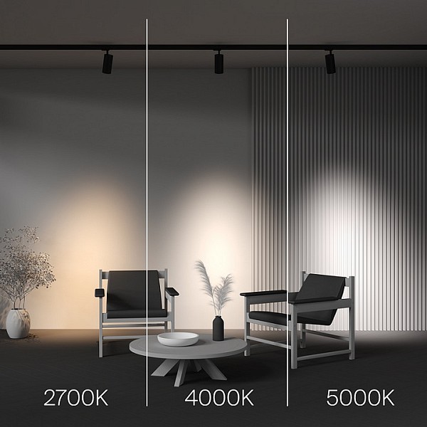 Накладной светильник Maytoni Technical Focus Led черный арт. TR197-3-40WCCT-M-B