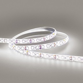 Лента светодиодная Eleganz  белый арт. EL-SS65-96W