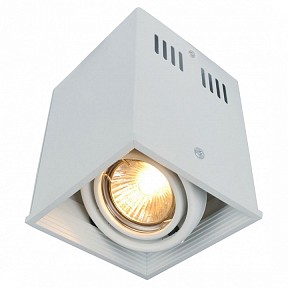Накладной светильник Arte Lamp Cardani Semplice белый арт. A5942PL-1WH