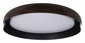 Накладной светильник Loft it Coin черный арт. 10198 Black