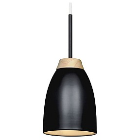 Подвесной светильник Loft it Watchman черный арт. LOFT4402A-BL