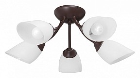 Потолочная люстра Vitaluce V3404 коричневый арт. V3404/5PL