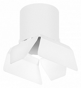 Накладной светильник Lightstar Rullo белый арт. R3486486