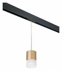 Подвесной светильник Lightstar Rullo черный арт. PRORP349081