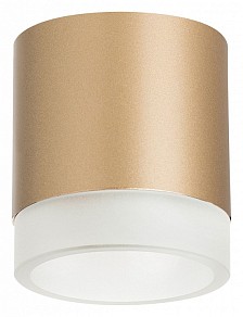 Накладной светильник Lightstar Rullo желтый арт. R349080