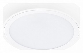 Накладной светильник Lightstar Urbano белый арт. 216902