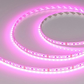 Лента светодиодная Arlight A120 24V 8mm 9.6 W/m белый арт. 043381