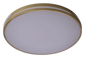 Накладной светильник Zortes Gabby золото арт. ZRS.90610.50