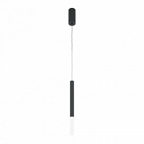 Подвесной светильник Maytoni Pro Shade черный арт. MOD157PL-L6BK