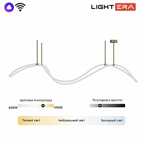 Светильник на штанге LIGHTERA Nyasa латунь арт. LE117L-150GB WIFI