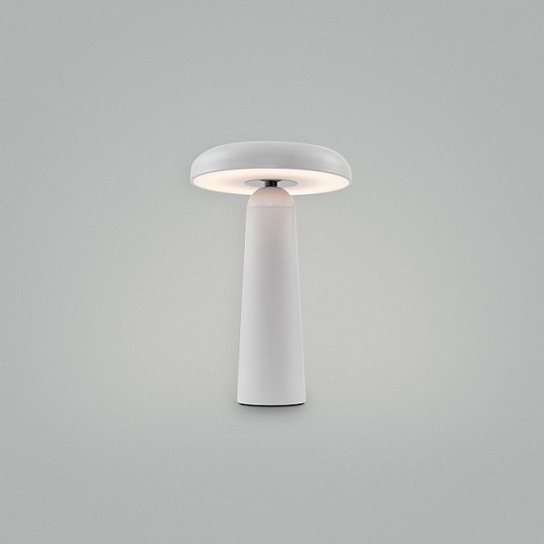Настольная лампа декоративная Freya Mushroom белый арт. FR6109TL-L4W