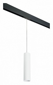 Подвесной светильник Lightstar Rullo черный арт. PRORP496