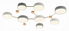 Накладной светильник EVOLUCE Dossena яркие арт. SLE600102-08