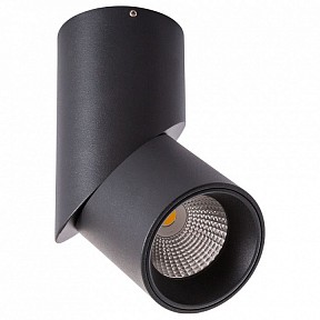 Накладной светильник Arte Lamp Meisu черный арт. A7717PL-1BK