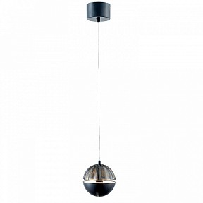 Подвесной светильник Favourite Ballonger черный арт. 4326-1P