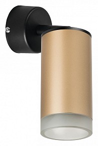 Спот Lightstar Rullo черный арт. RB44030