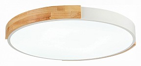 Накладной светильник EVOLUCE Delia белый арт. SLE201352-01