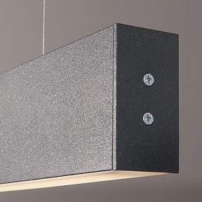 Подвесной светильник Elektrostandard 101-200-40-103 черный арт. a042943