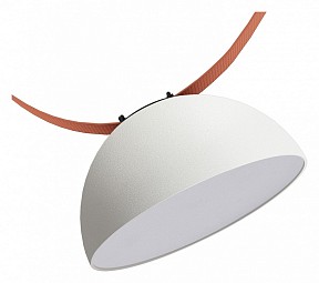 Накладной светильник Denkirs BELTY FLOW черный арт. DK5560-WH+BK
