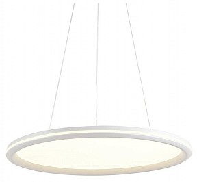 Подвесной светильник Lumion LEDIO белый арт. 8380/45L