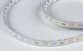 Лента светодиодная SWG SWG560 белый арт. 00-00014783