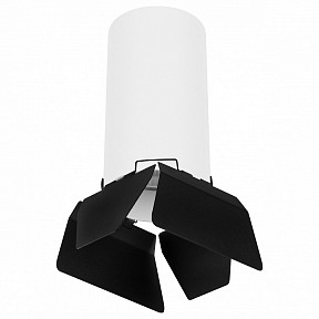 Накладной светильник Lightstar Rullo белый арт. R6486487