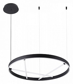Подвесной светильник Arte Lamp Ricco черный арт. A1874SP-32BK