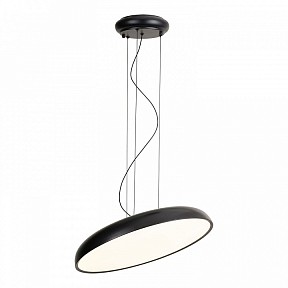 Подвесной светильник Lussole Crook черный арт. LSP-7360