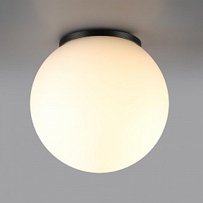 Накладной светильник Odeon Light NATURE черный арт. 7124/1C