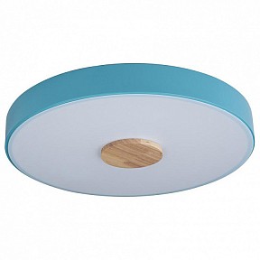 Накладной светильник Loft it Axel 2 яркие арт. 10003/24 Blue