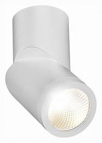 Светильник на штанге ST-Luce ST650 белый арт. ST650.542.10