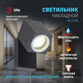 Светильник на штанге Эра WL37 GR черный арт. Б0054409
